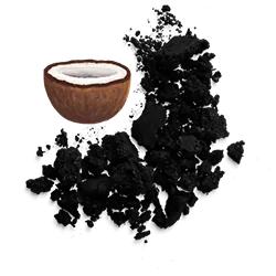 Close-up of a halved coconut and pieces of activated charcoal.
